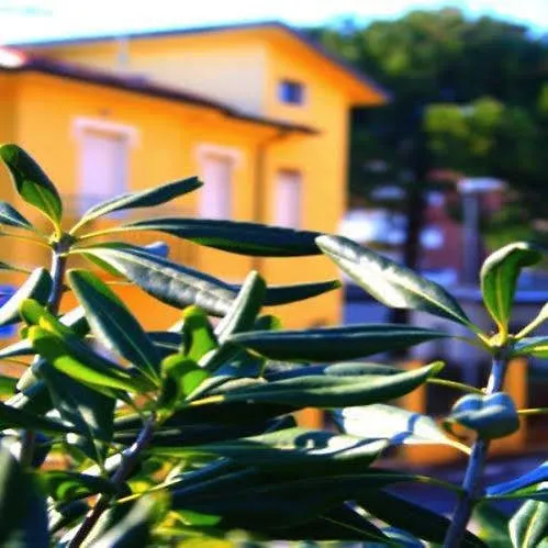 Villa Grazia Rimini
